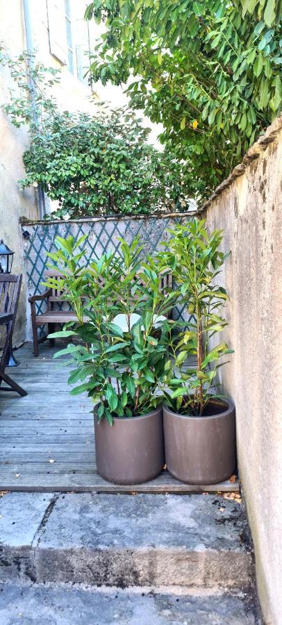 Le Petit Cocon De Chateau Chalon エクステリア 写真